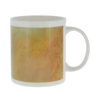 The Falls of the Clyde mug