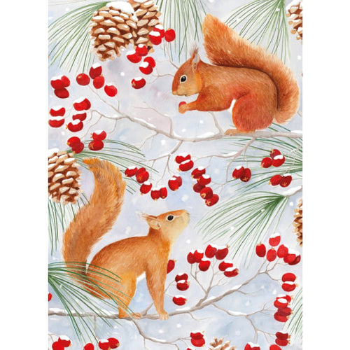 Red squirrels Christmas cards