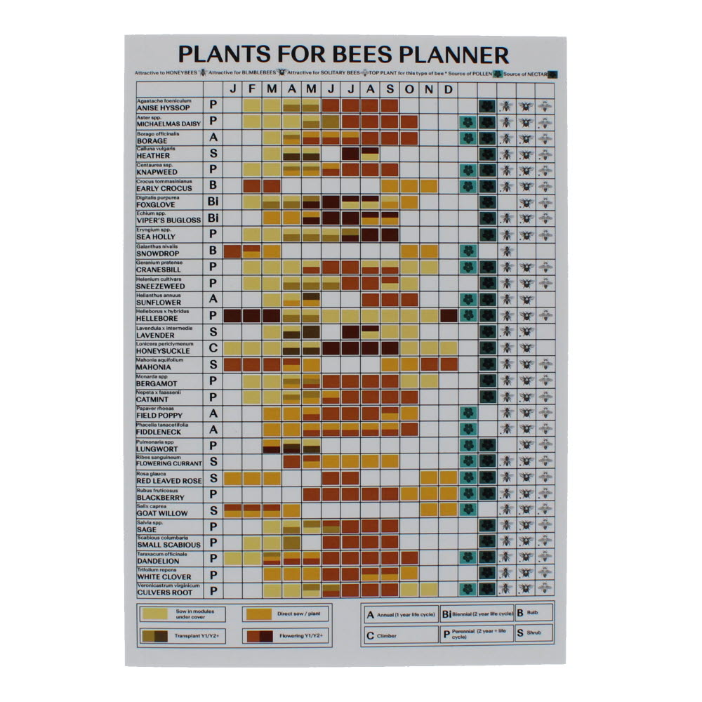 Plants for bees planner notebook