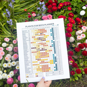 Plants for bees planner print