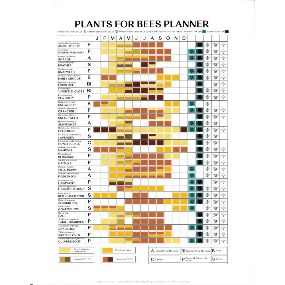 Plants for bees planner print