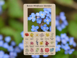 British wildflower identifier