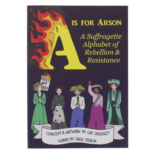 A is for Arson Book